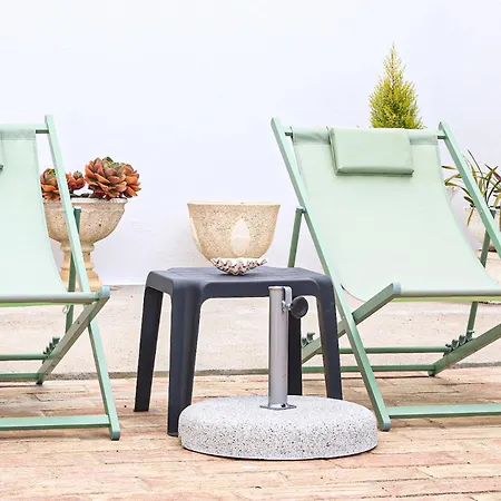 Tibouchina אלבופיירה