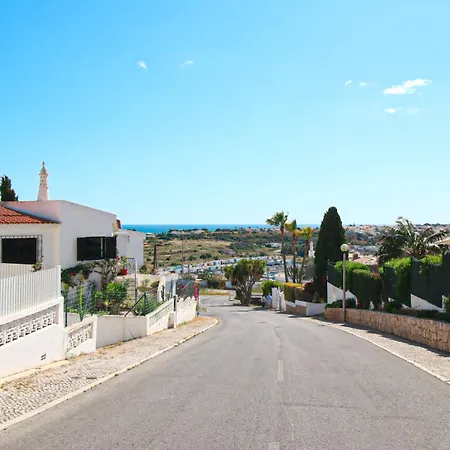 Tibouchina * אלבופיירה