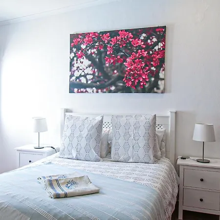 וילה Tibouchina *