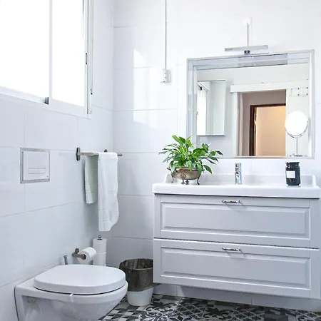 Tibouchina וילה *