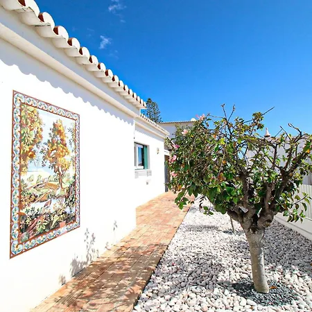 Tibouchina * אלבופיירה