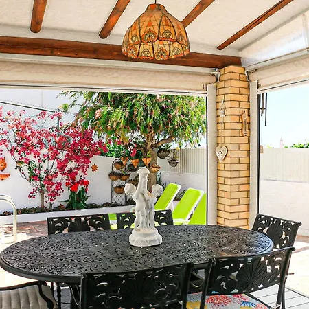 Tibouchina Albufeira