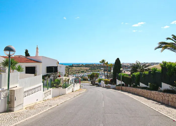 Tibouchina * Албуфейра