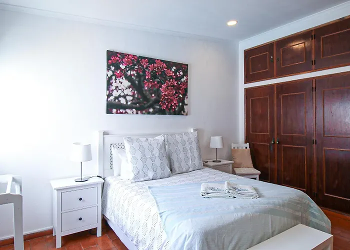 Tibouchina * Албуфейра