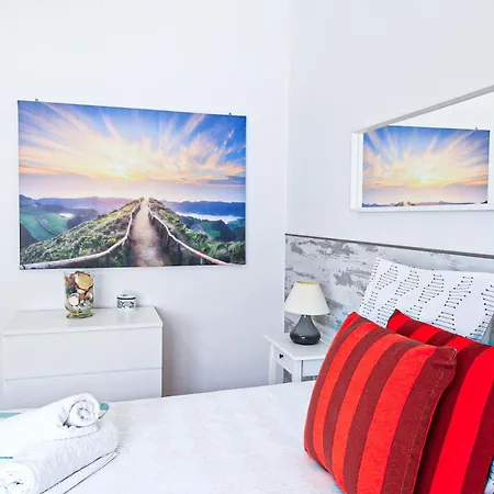 Tibouchina Albufeira