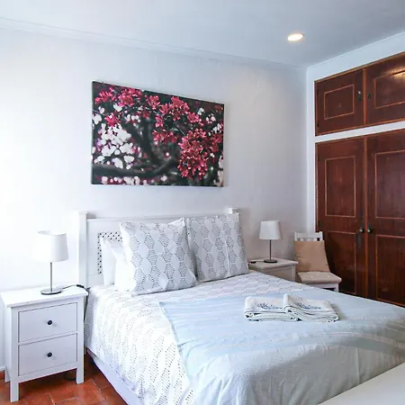 Tibouchina * Albufeira