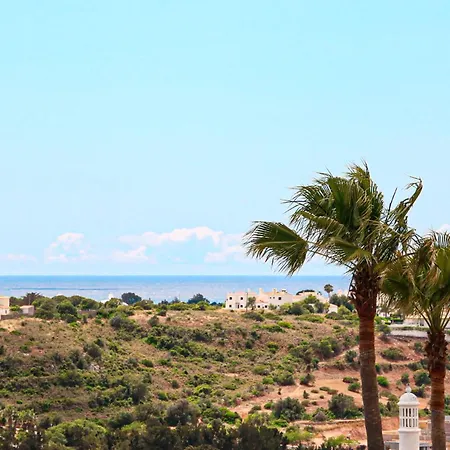 Tibouchina Albufeira